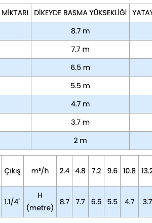 Pedrollo RXm 4/40 GM Gizli Flatörlü Full Paslanmaz Drenaj Dalgıç Pompalar Monofaze (220V) 10 mss 16.2 m³/h